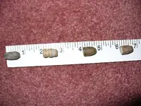 bullets with ruler1.webp