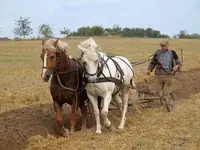 Farmer_plowing.webp