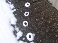 snow day 003.webp
