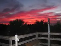 nokomisredsky.webp