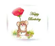 birthdaygirl13.webp