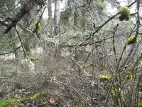 DSCN0953.webp