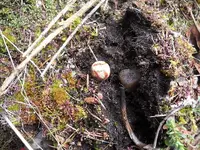 DSCN0954.webp