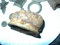 DSC00004.webp