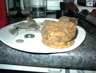 DSC00008.webp