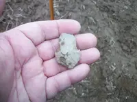 Finds010.webp