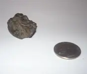 Treasures_004.webp