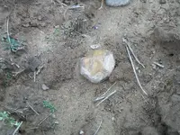 Finds020.webp