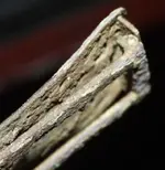 clasp backview1a.webp