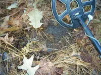 S3013140.webp S3013140.webp