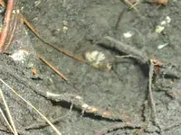 S3013141.webp