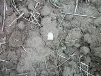 Finds016.webp