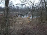 Finds026.webp