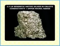 2.5 LB DENDRITIC SILVER.webp