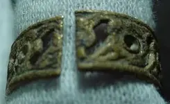 old gold band (1).webp