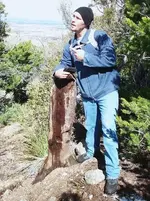 4ft stump.webp