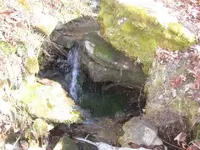 011.webp