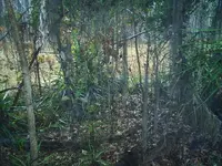 S3013189.webp