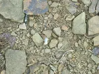 1-18-10 insitu.webp