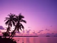 beautiful-beach-nature-scenery.webp