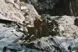 avatar_103.webp