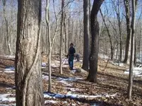 dec 18th cellar hole hunt with mike 002 [].webp