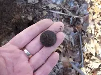 dec 18th cellar hole hunt with mike 003 [].webp