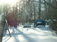 Picture 014.webp