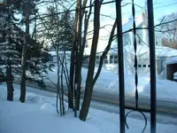 Picture 007.webp