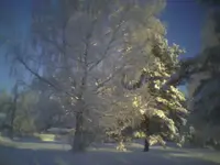 37654274_34.webp