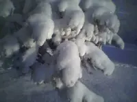 37654223_35.webp