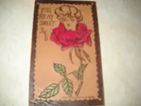 DSCN0484.webp