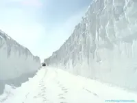 snow.webp