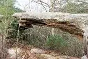 Timmons Arch.webp