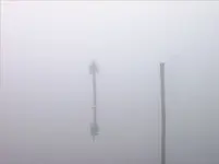 Morning Fog 019.webp