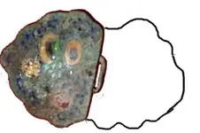 Buckle.webp