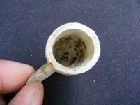 pipe2.webp