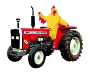 Chicken.webp