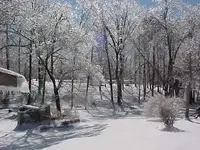jan31ice#2.webp