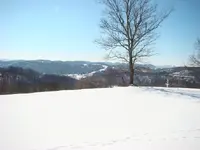 DSC01027.webp