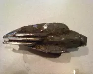Hood Ornament[1].webp