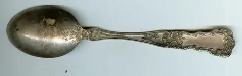 SSPOON.webp