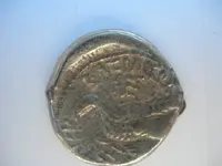 ROMAN BACK.webp
