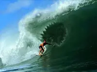 killer-wave.webp