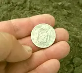coinS.webp