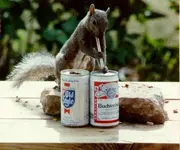 thirsty_squirrel.webp