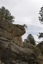OLD CHIEF 1.webp