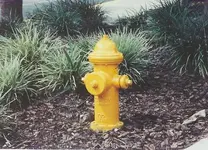 hydrant capplug.webp
