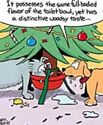 funny-pic-christmas-drinks.webp