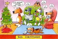 xmas-DOG-tree-pee.webp